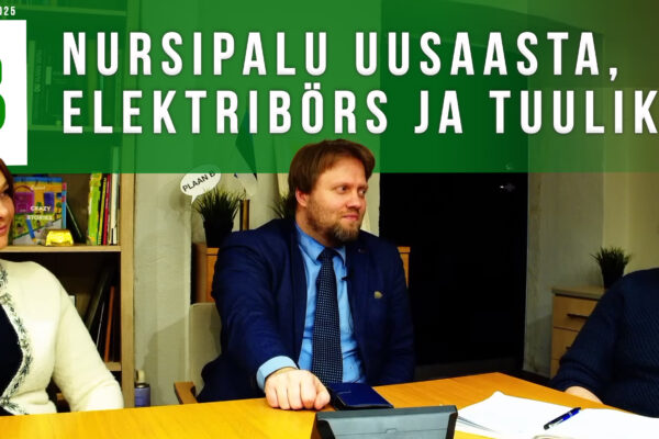 Maarika Niidumaa, Tiiu Ritari, Andro Roos: Nursipalu uusaasta, elektribörs ja tuulikud