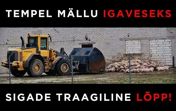 Kristi Metsa: Tempel mällu igaveseks – sigade traagiline lõpp (VIDEO)